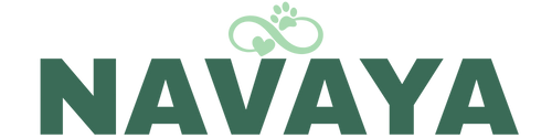 Navaya